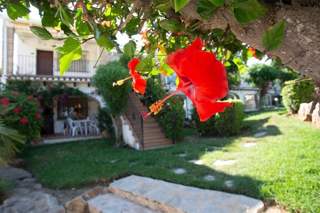 Casa En Denia Con Piscina Y Jardin Lejlighed Eksteriør billede
