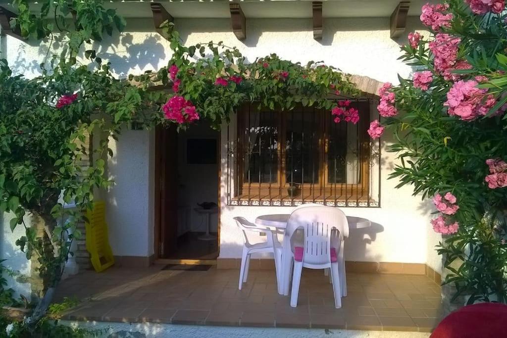 Casa En Denia Con Piscina Y Jardin Lejlighed Eksteriør billede