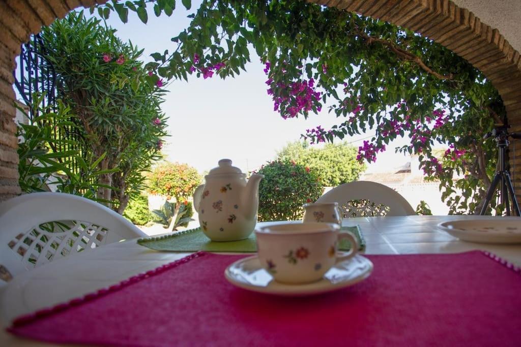 Casa En Denia Con Piscina Y Jardin Lejlighed Eksteriør billede